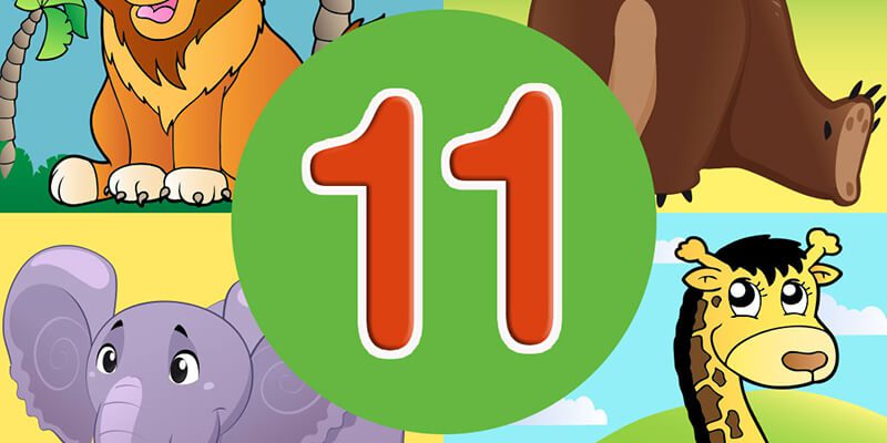 Animal quiz 11 Animal quiz 11