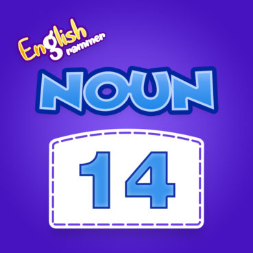 14 Noun Quiz