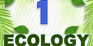 Ecology Quiz 1