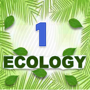 Ecology Quiz 1