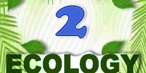 Ecology Quiz 2