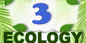 Ecology Quiz 3