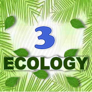 Ecology Quiz 3