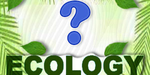 Ecology Quiz