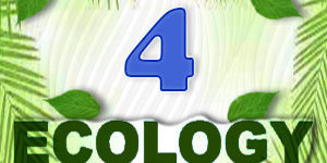 Ecology Quiz 4 Ecology Quiz 4