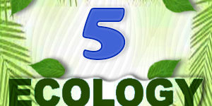 Ecology Quiz 5 Ecology Quiz 5
