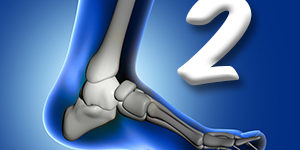 Joint Quiz 2 Joint Quiz 2