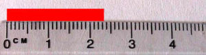 Measurements 1