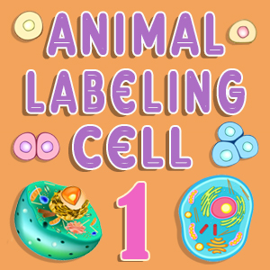Animal Cell Labeling Quiz 1