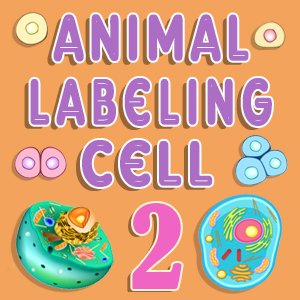 Animal Cell Labeling Quiz 2