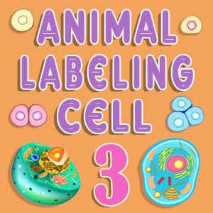 Animal Cell Labeling Quiz 3