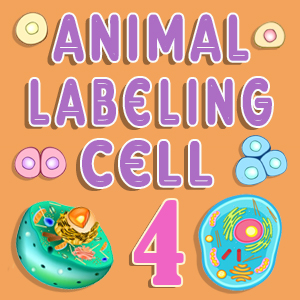 Animal Cell Labeling Quiz 4
