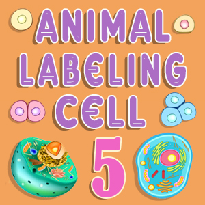 Animal Cell Labeling Quiz 5
