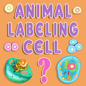 Animal Cell Labeling Quiz Animal Cell Labeling Quiz