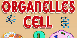 Label Cell Organelles Quiz
