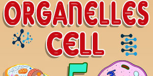 Label Cell Organelles Quiz 5