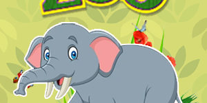 Elephant Quiz