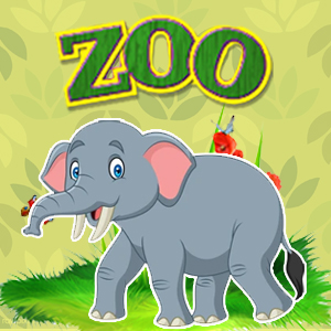 Elephant Quiz