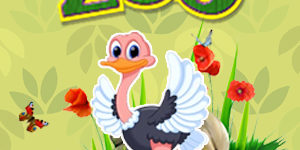 Ostrich quiz Ostrich quiz