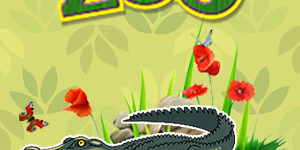 Alligator Quiz Alligator Quiz