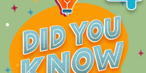 Fact or Fiction Quiz 4 Fact or Fiction Quiz 4