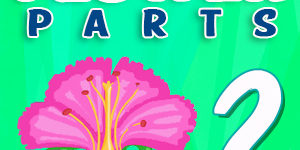 Flower Parts Quiz Flower Parts Quiz