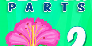 Flower parts Quiz 2 Flower parts Quiz 2