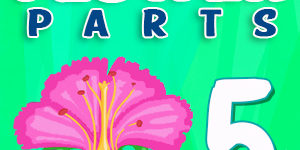 Flower parts Quiz 5 Flower parts Quiz 5