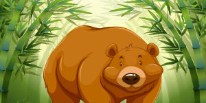 Bear-Animal-Quiz
