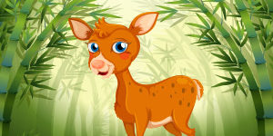 Deer-Animal-Quiz