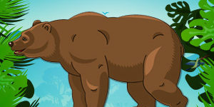 Grizzly-Bear–Endangered-Animal-quiz Grizzly-Bear--Endangered-Animal-quiz