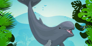 Irrawaddy-Dolphins-Endangered-Animal-quiz Irrawaddy-Dolphins-Endangered-Animal-quiz
