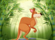 Kangaroo-Animal-Quiz