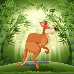 Kangaroo-Animal-Quiz