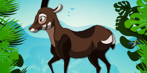 Saola-Endangered-Animal-quiz Saola-Endangered-Animal-quiz