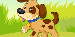 dog-pet-animal-quiz dog-pet-animal-quiz