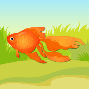 goldfish-pet-animal-quiz