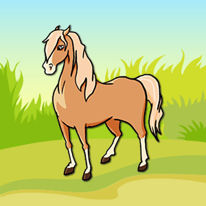 horse-pet-animal-quiz