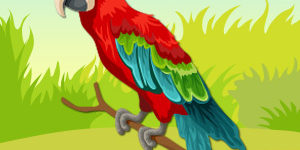 parrot-pet-animal-quiz parrot-pet-animal-quiz