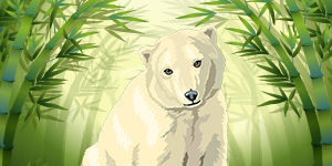 polar-bear-Animal-Quiz