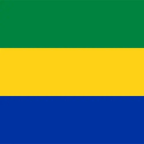 African Flag Gabon
