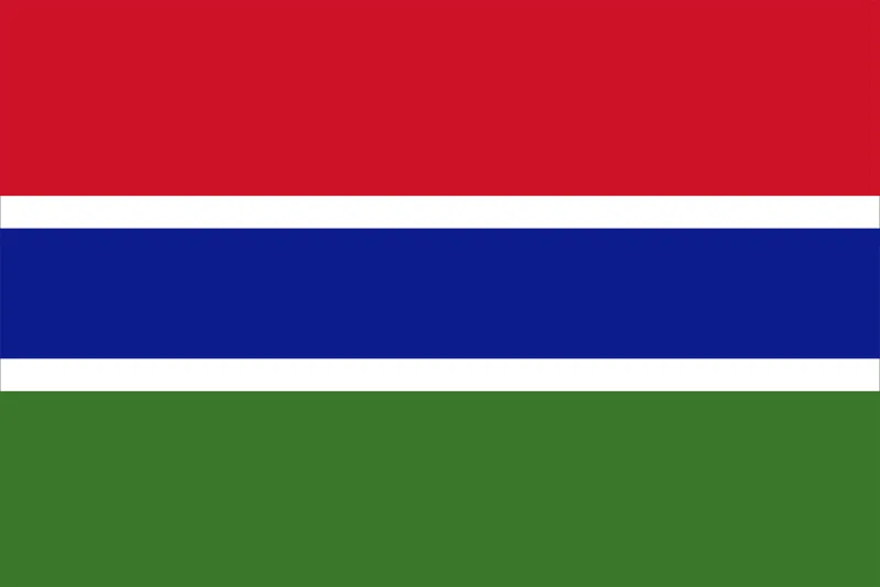 African Flags Gambia