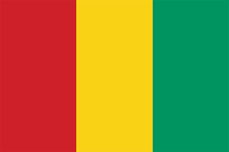 African Flags Guinea