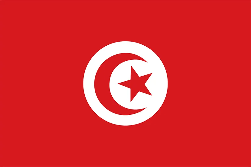 African Flags Tunisia