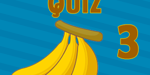 banana quiz3 banana quiz3