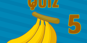 banana quiz5 banana quiz5