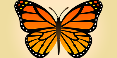 Butterfly trivia
