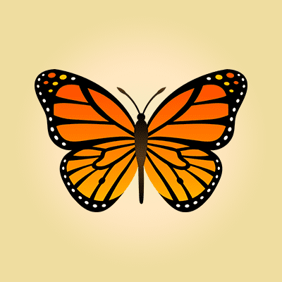 Butterfly trivia