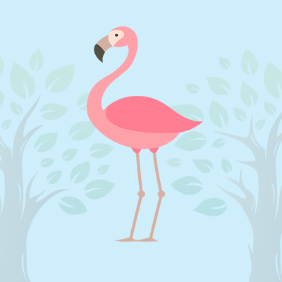 Flamingo Quiz