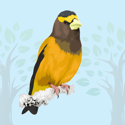 Grosbeak Quiz